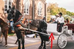 why is it called a dashboard horse carriage